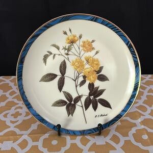 Darby Mint. Golden Wonder. Redoute Roses. No flaws.